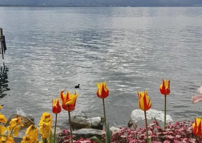 Озеро Лугано и Бриенц арт туризм и пленэры